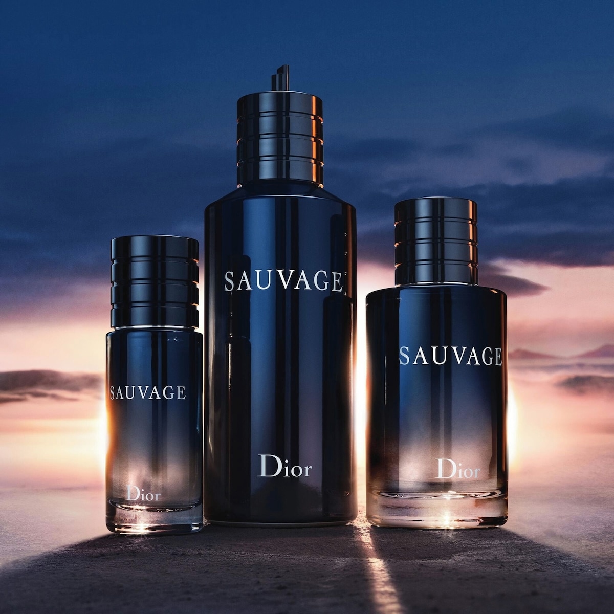 Sauvage Elixir