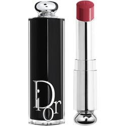Dior Addict Lipstick 1