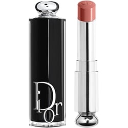 Dior Addict Lipstick 1
