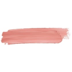 Dior Addict Lipstick 2