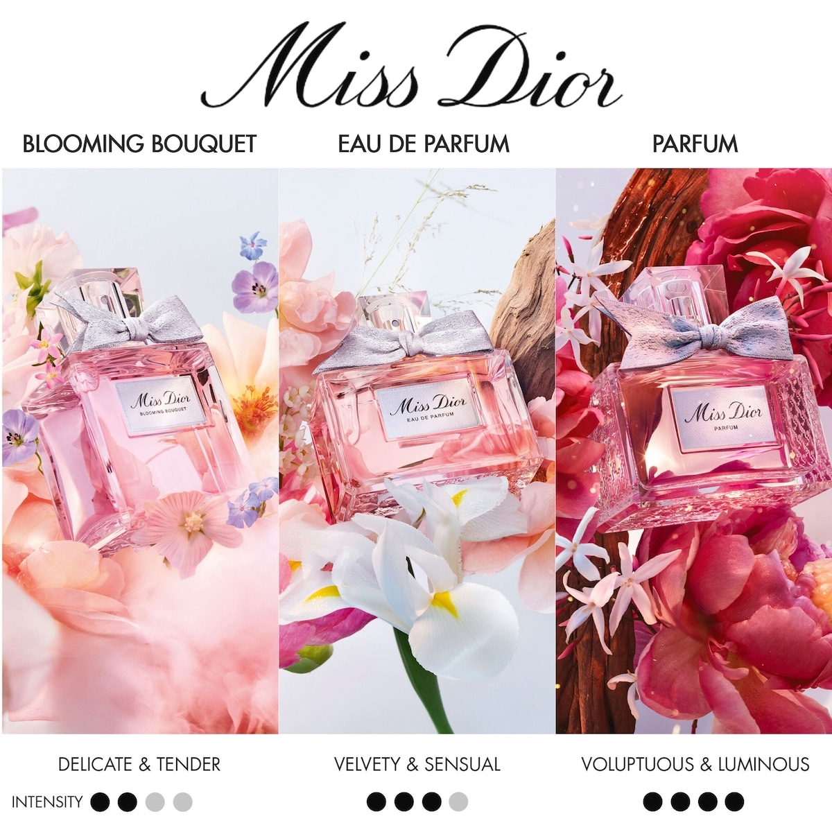 DIOR Miss Dior Blooming Bouquet Eau de Toilette | Shoppers Drug Mart