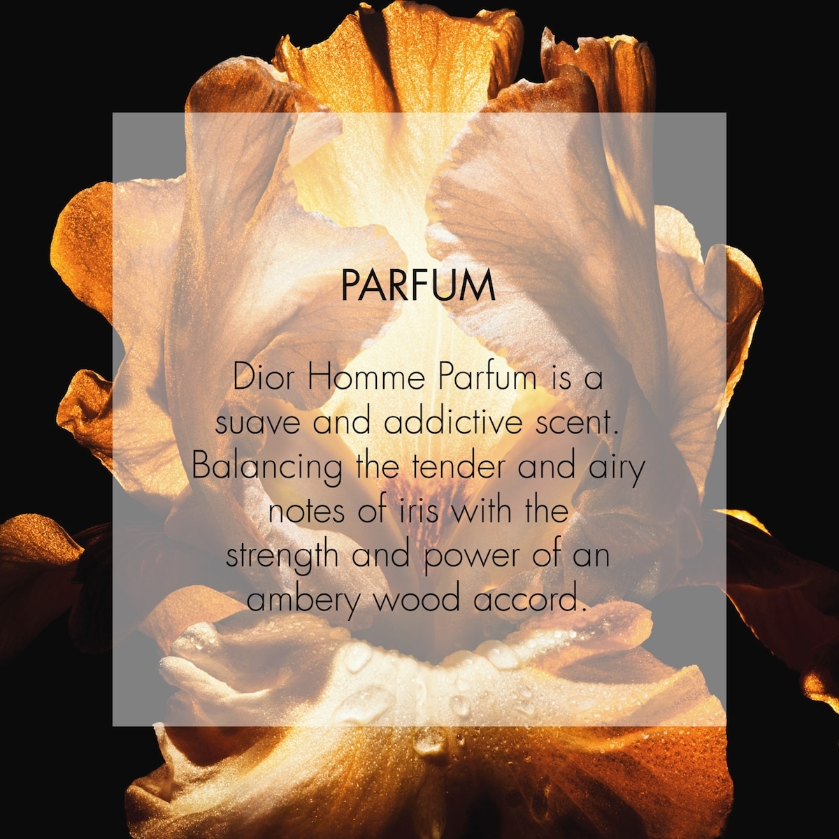 Dior Homme Parfum