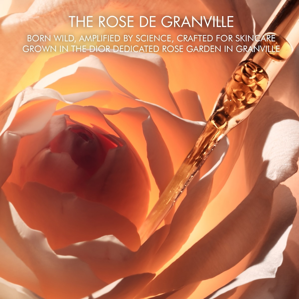 Prestige La Micro-Nutritive Anti-Aging Serum for Face and Neck