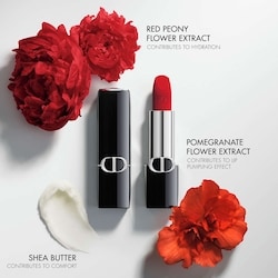 Rouge Dior Lipstick 6