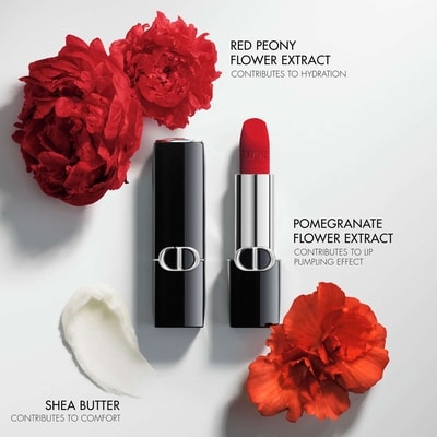 Rouge Dior Lipstick 6