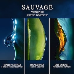 Sauvage Skincare Ritual Set 4