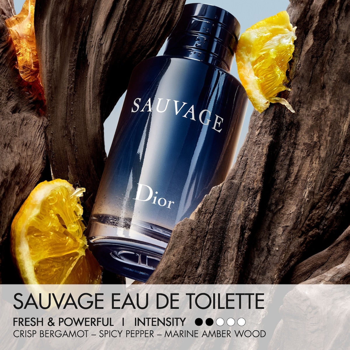 Sauvage Eau de Toilette and Travel Spray Gift Set