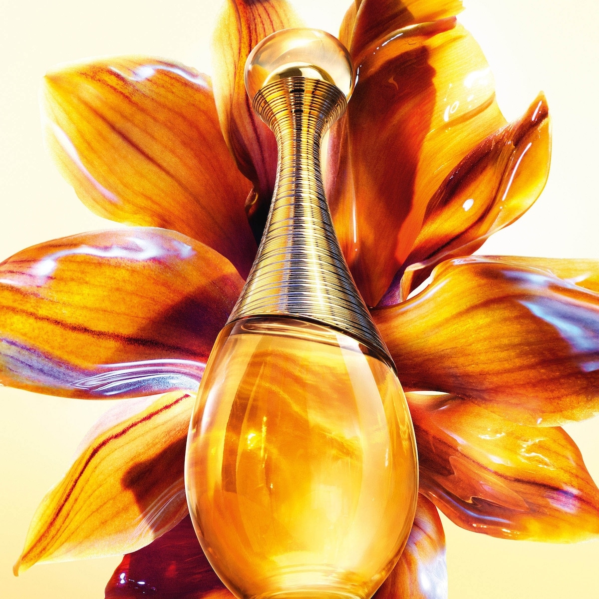 DIOR J'adore Intense Luscious and Honeyed Notes | Shoppers Drug Mart