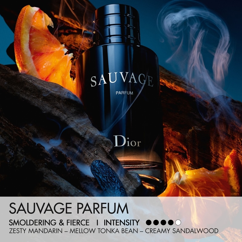 Christian Dior Sauvage Father's Day Gift Set Parfum and Travel