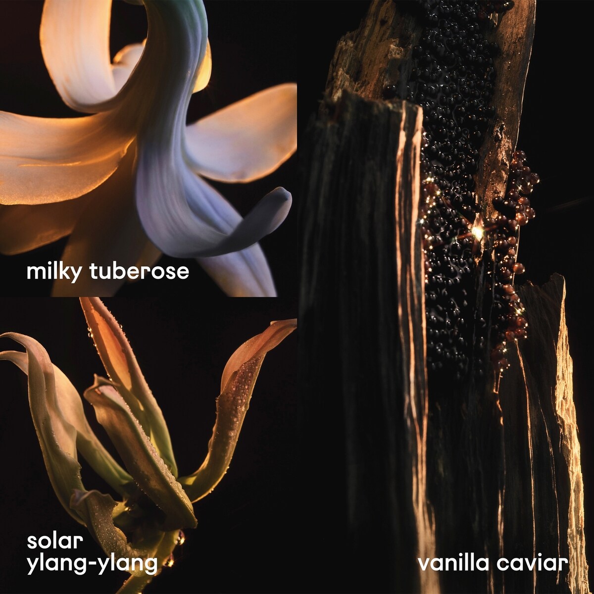 Eau de parfum intense Lady Million Fabulous