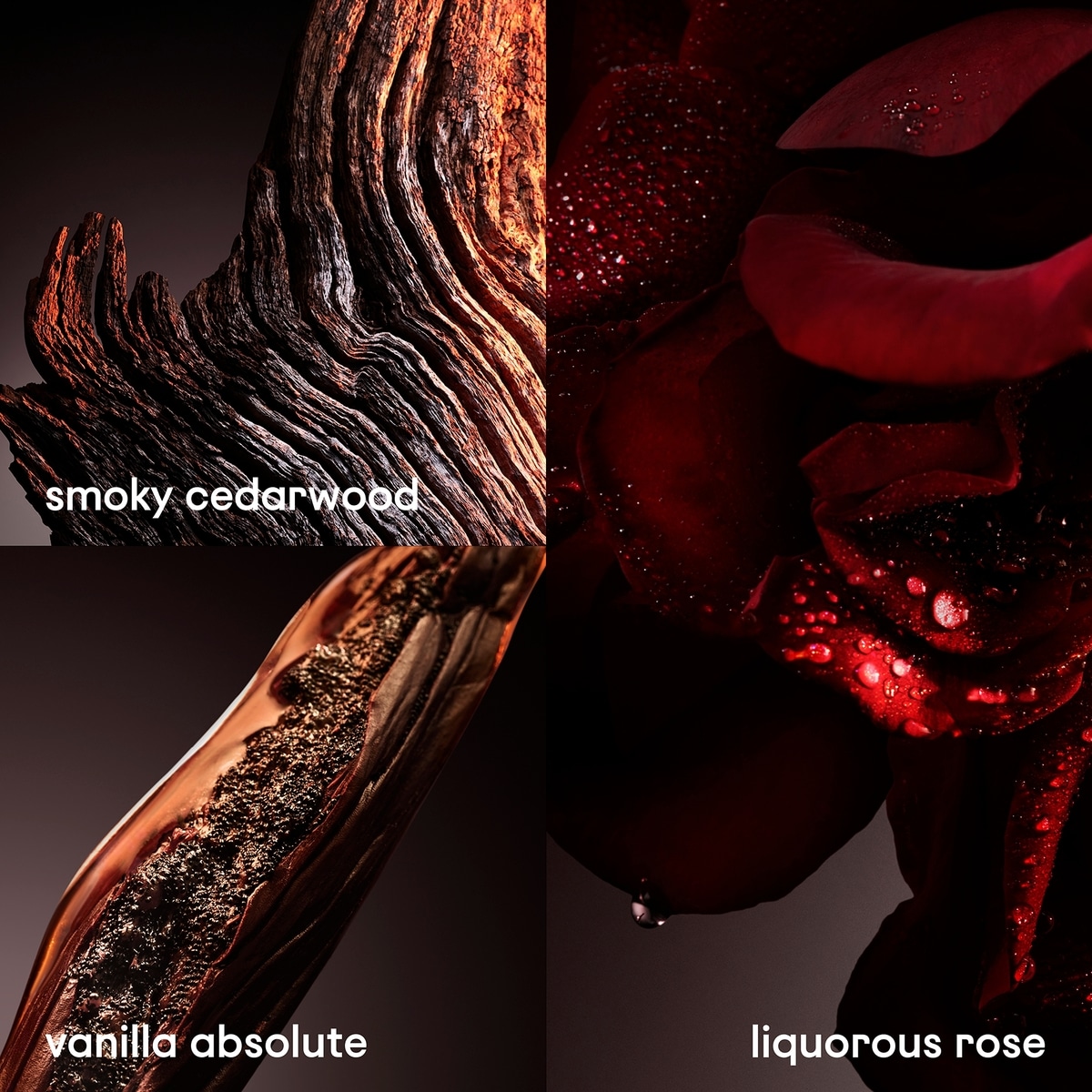 Coffret 3 pièces 1 Million Elixir eau de parfum intense