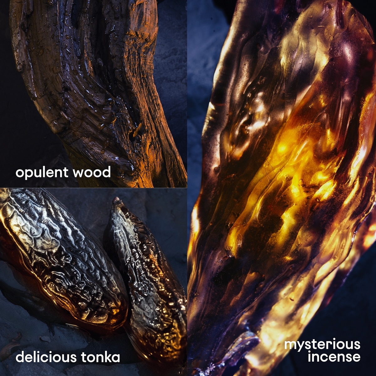 Invictus Victory Elixir Parfum 3-Piece Gift Set