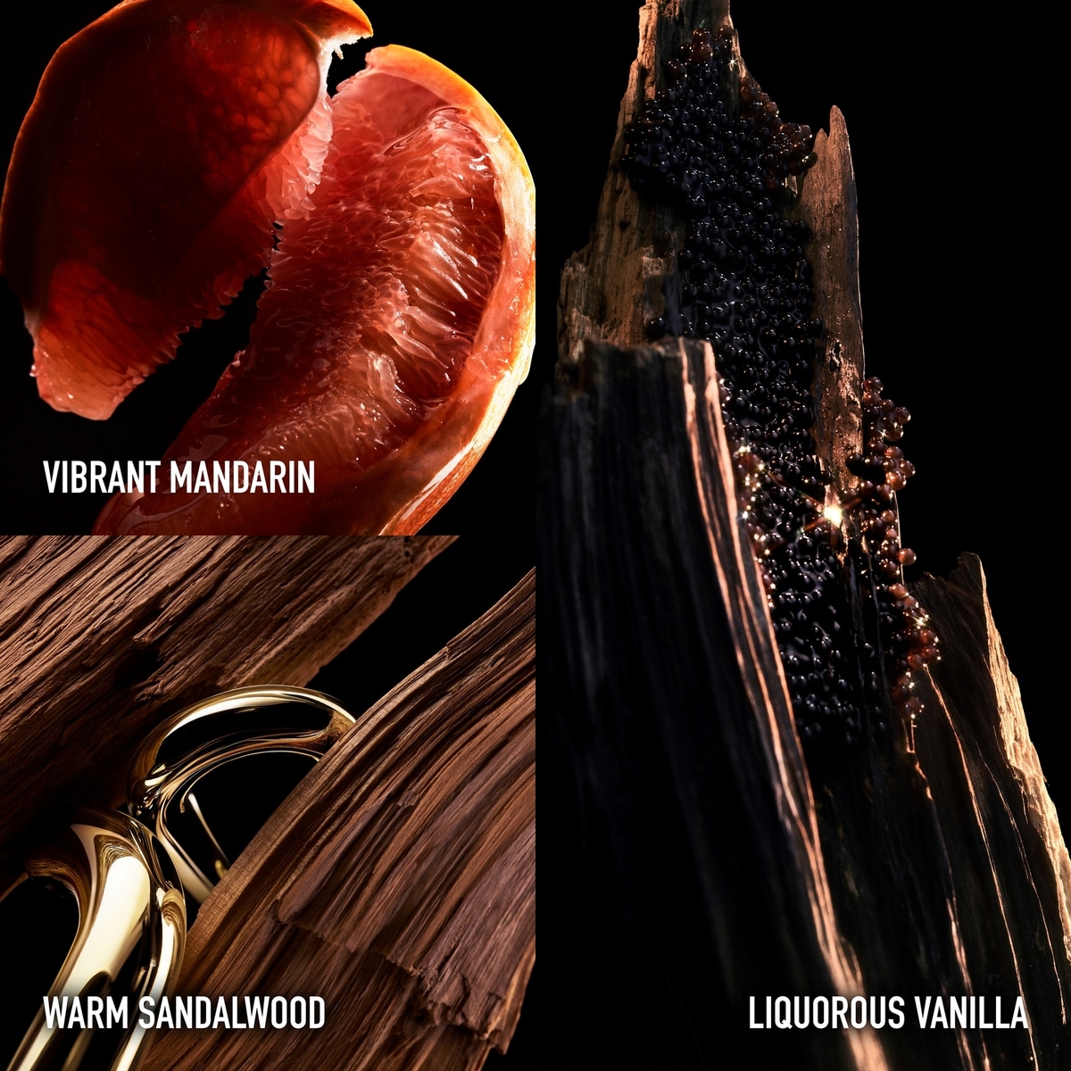 Coffret 3 pièces Million Gold Elixir parfum intense