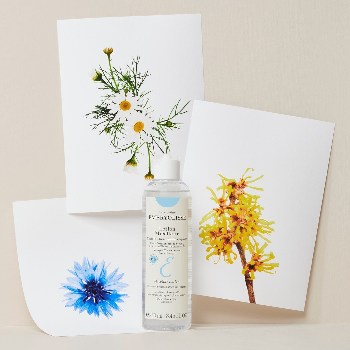 Lotion Micellaire
