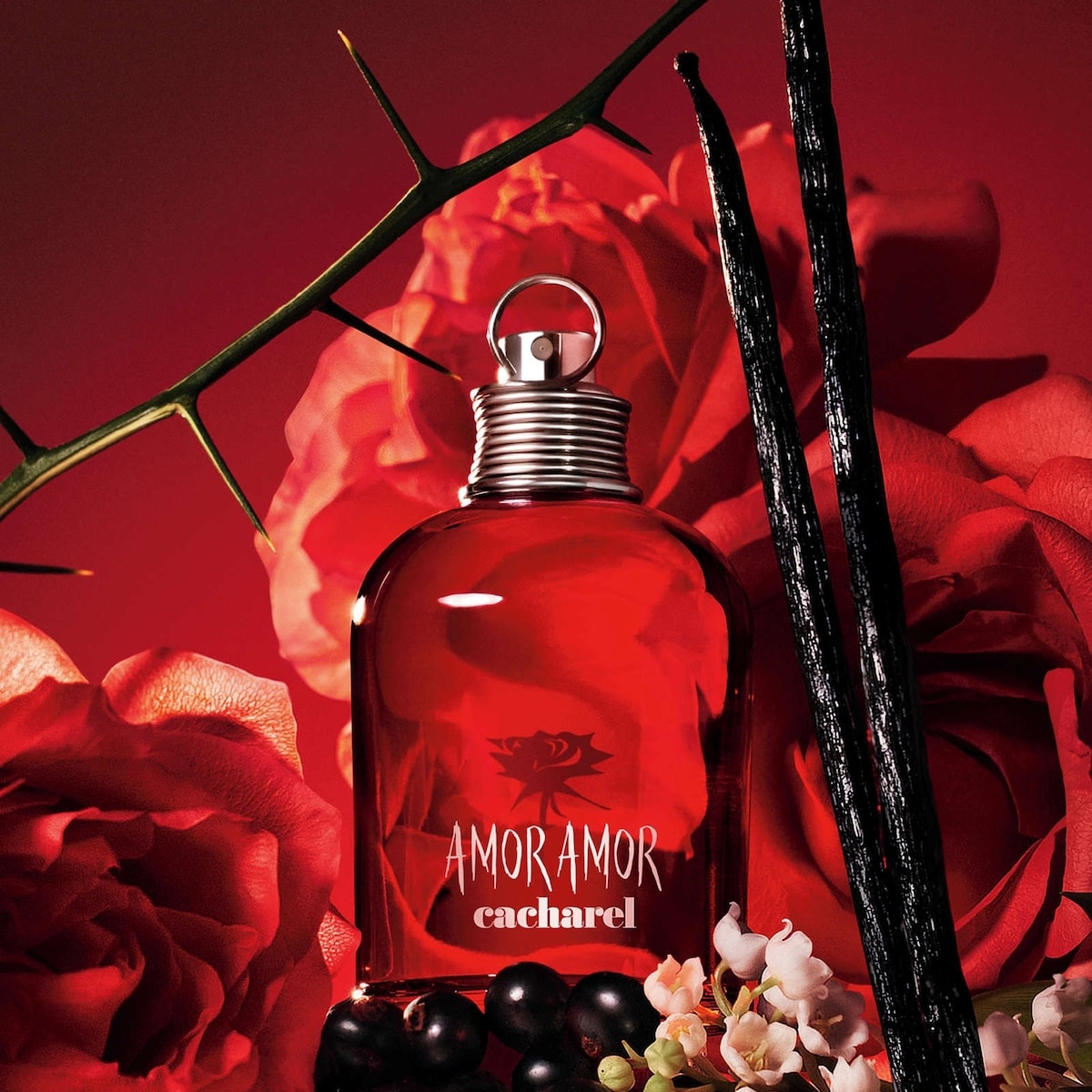 Amor Eau De Toilette Spray