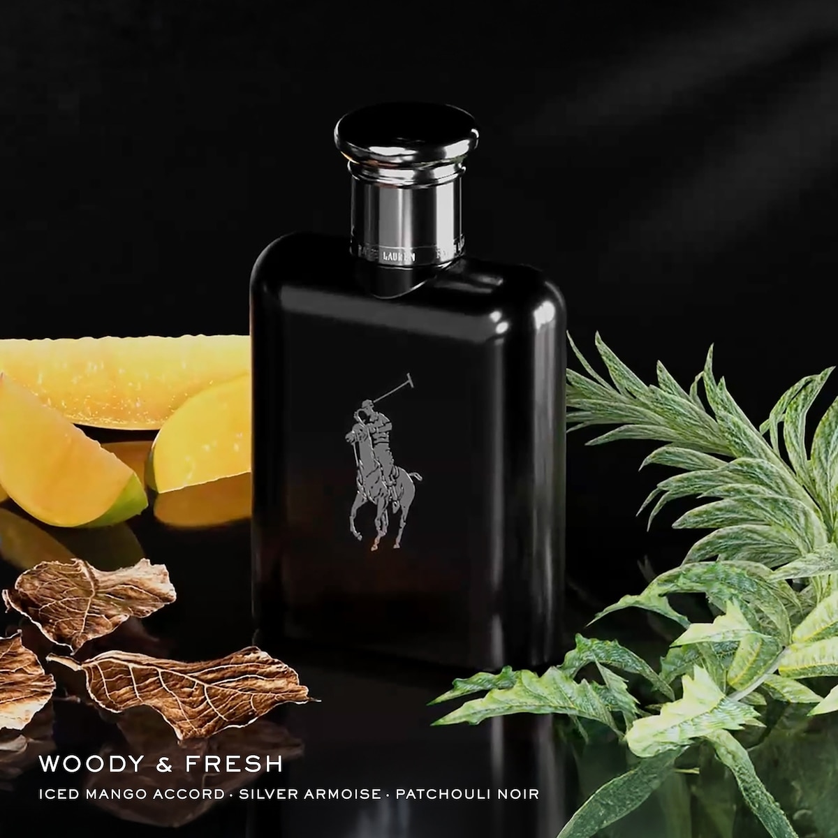 Polo Black Eau de Toilette