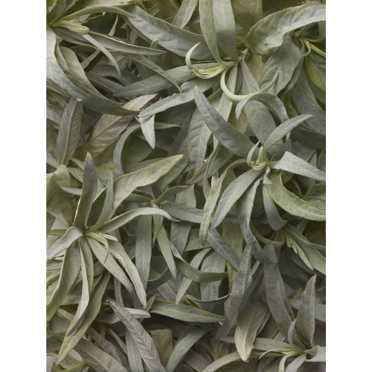 Polo Black Eau de Toilette