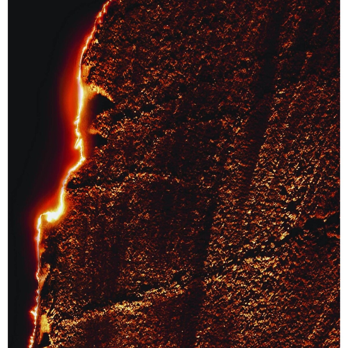 L'Homme Eau De Parfum Intense