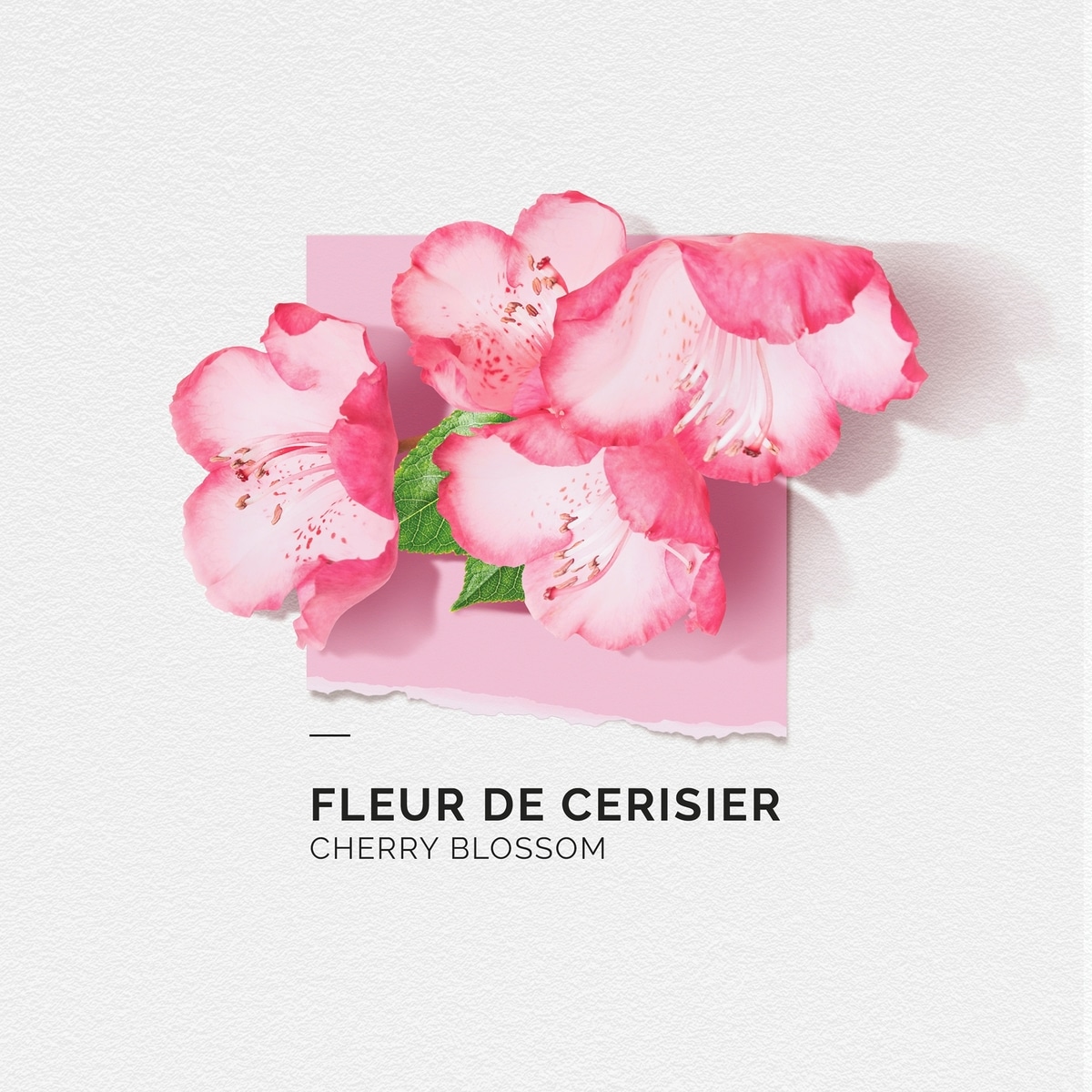 Eau De Parfum Cherry Blossom