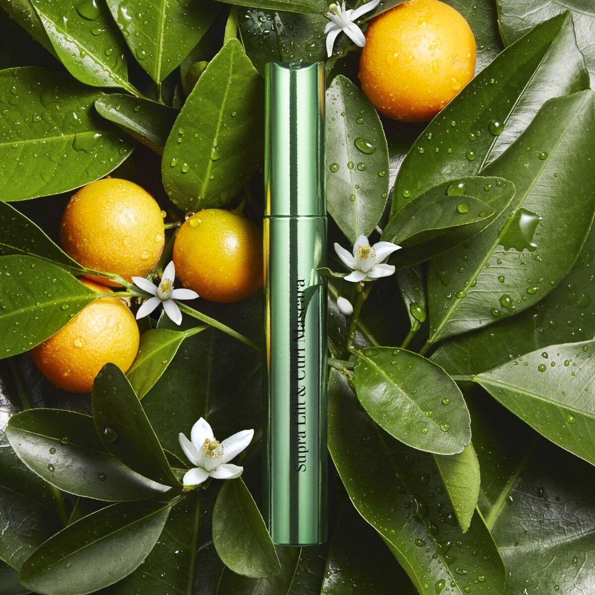 Mascara Supra Lift & Curl