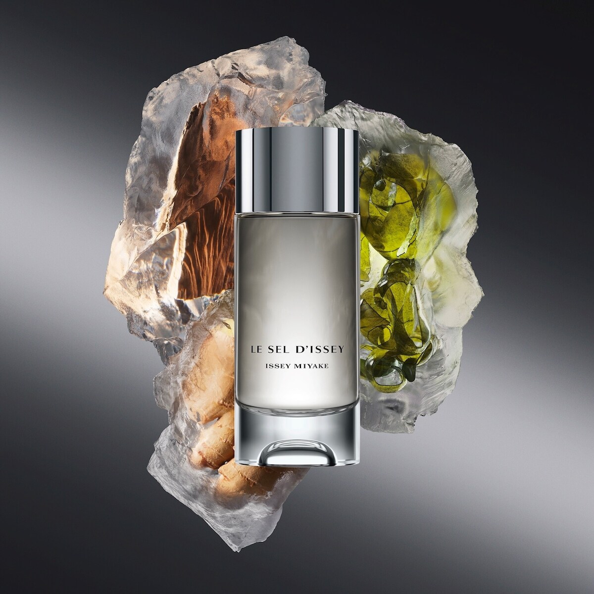 Issey Miyake Le Sel d'Issey Eau de Toilette Fragrance Set for men