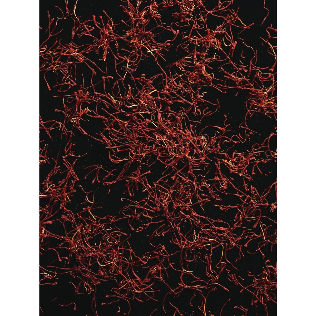 Polo Red Eau de Toilette
