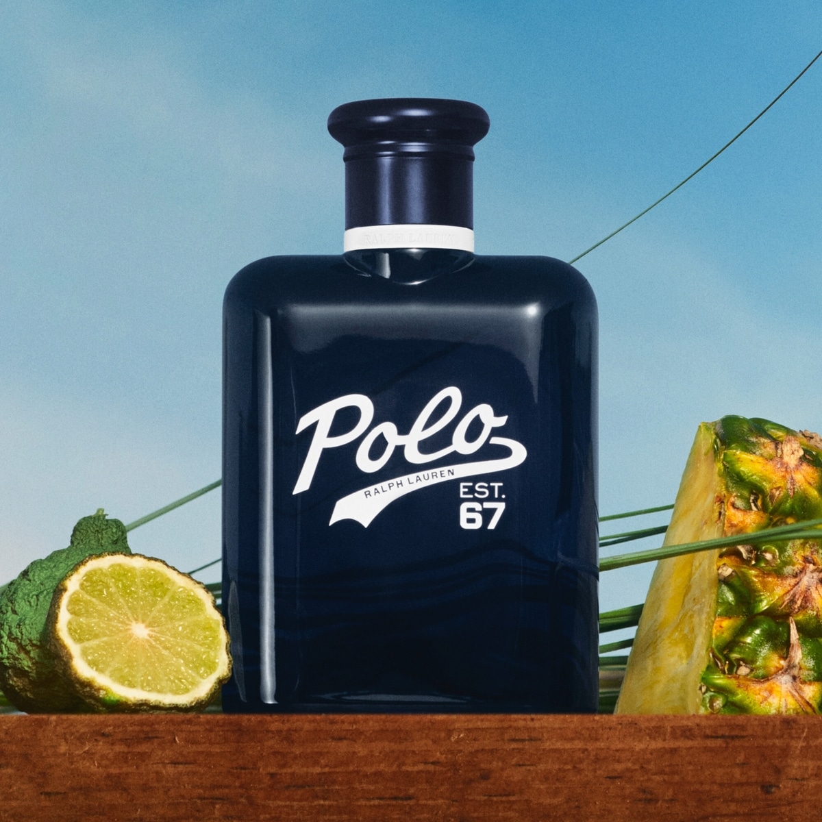 Polo 67 Eau de Toilette Woody Fresh Fragrance for Men