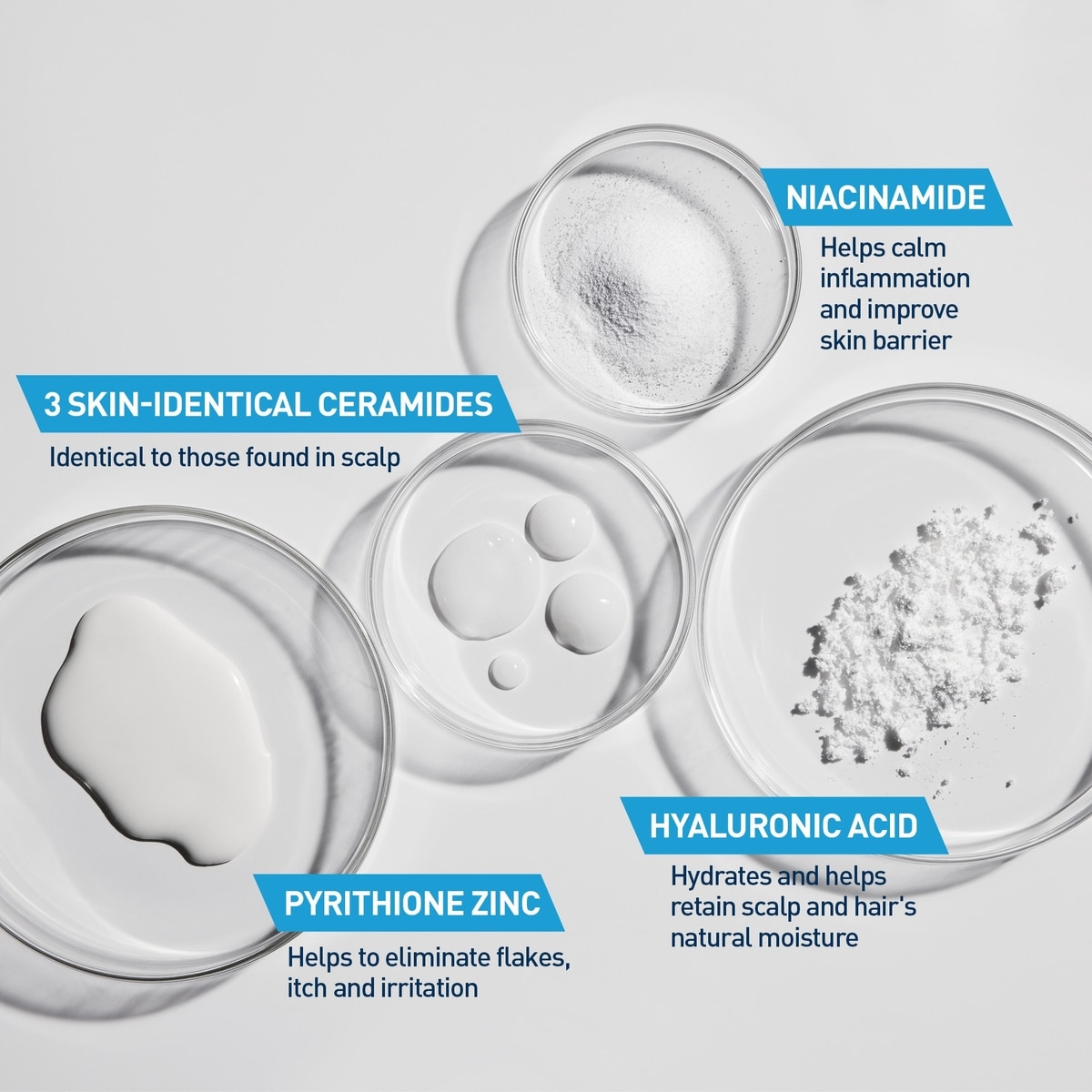 Shampooing et Revitalisant Hydratant Antipelliculaire 2-en-1