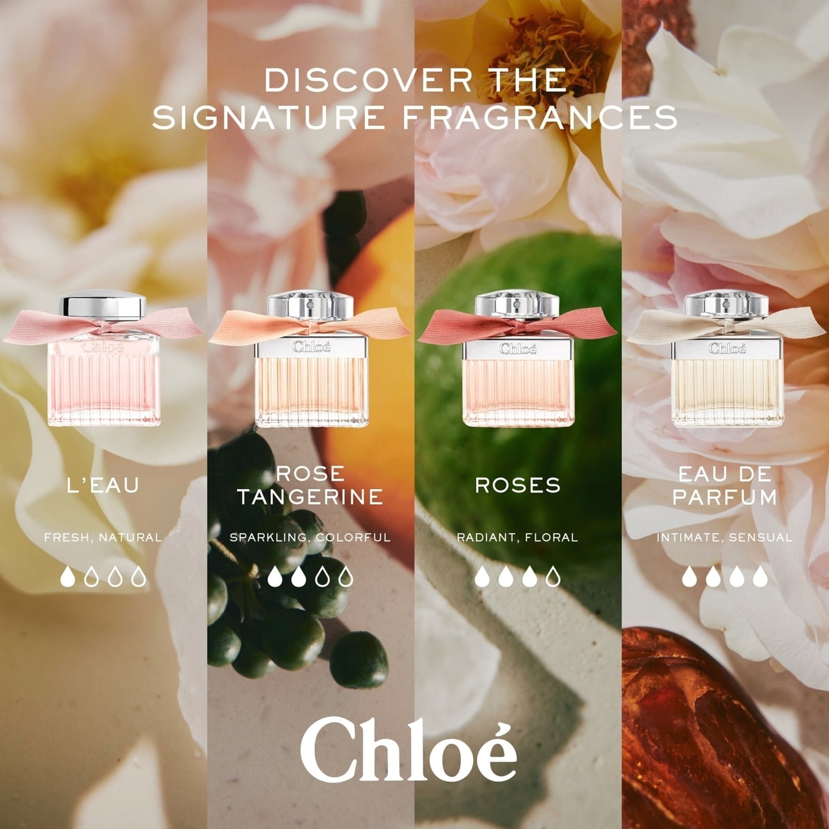 Roses de Chloé Eau de Toilette pour femme