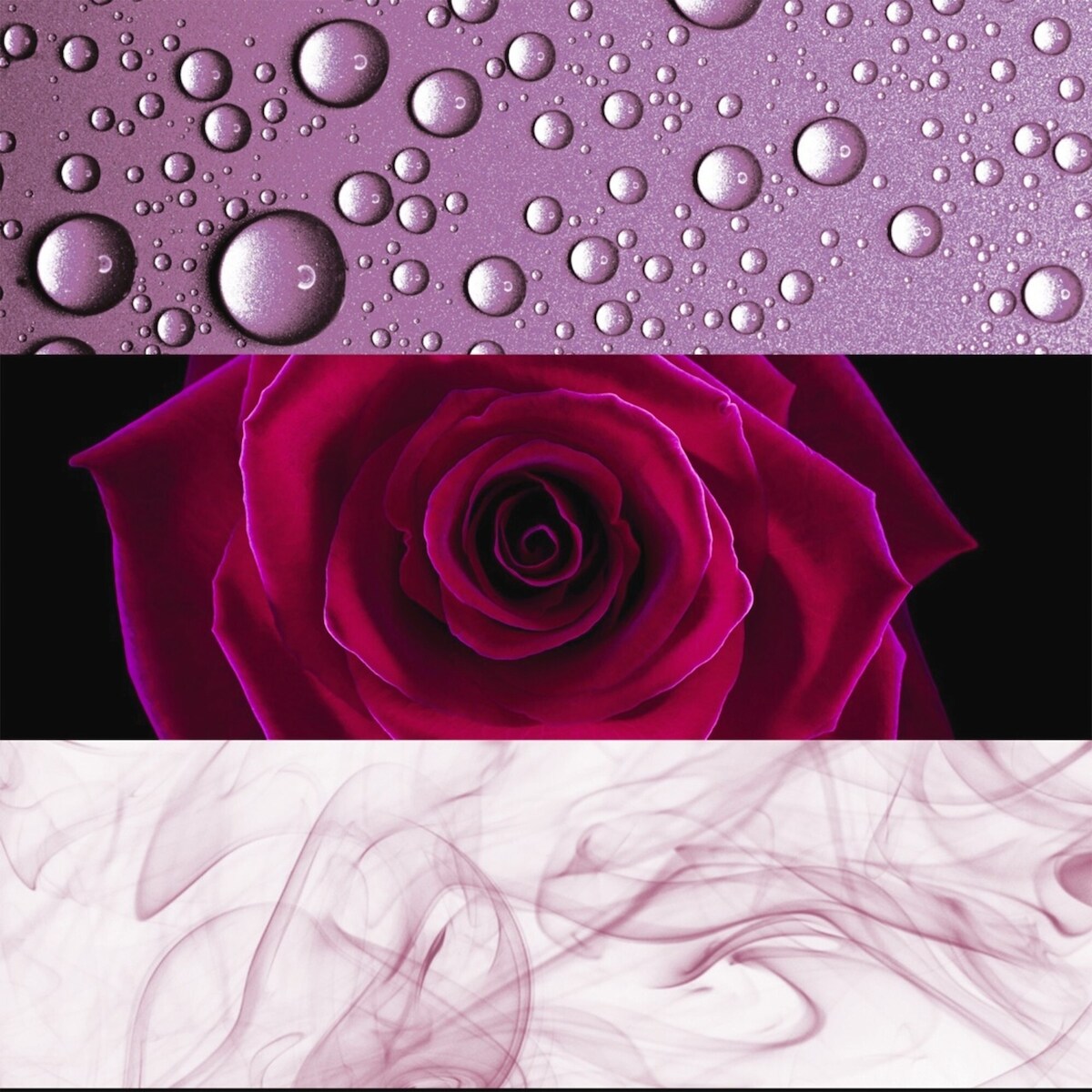Deep Euphoria Eau de Parfum pour femme