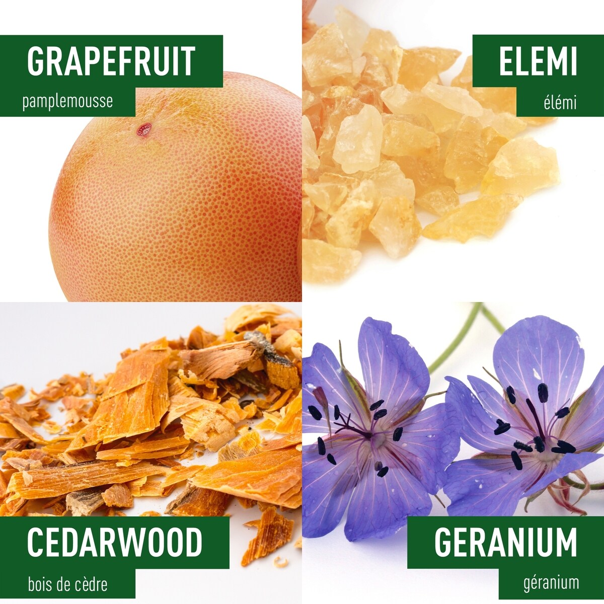 Adidas CHRG for Him - 100ml