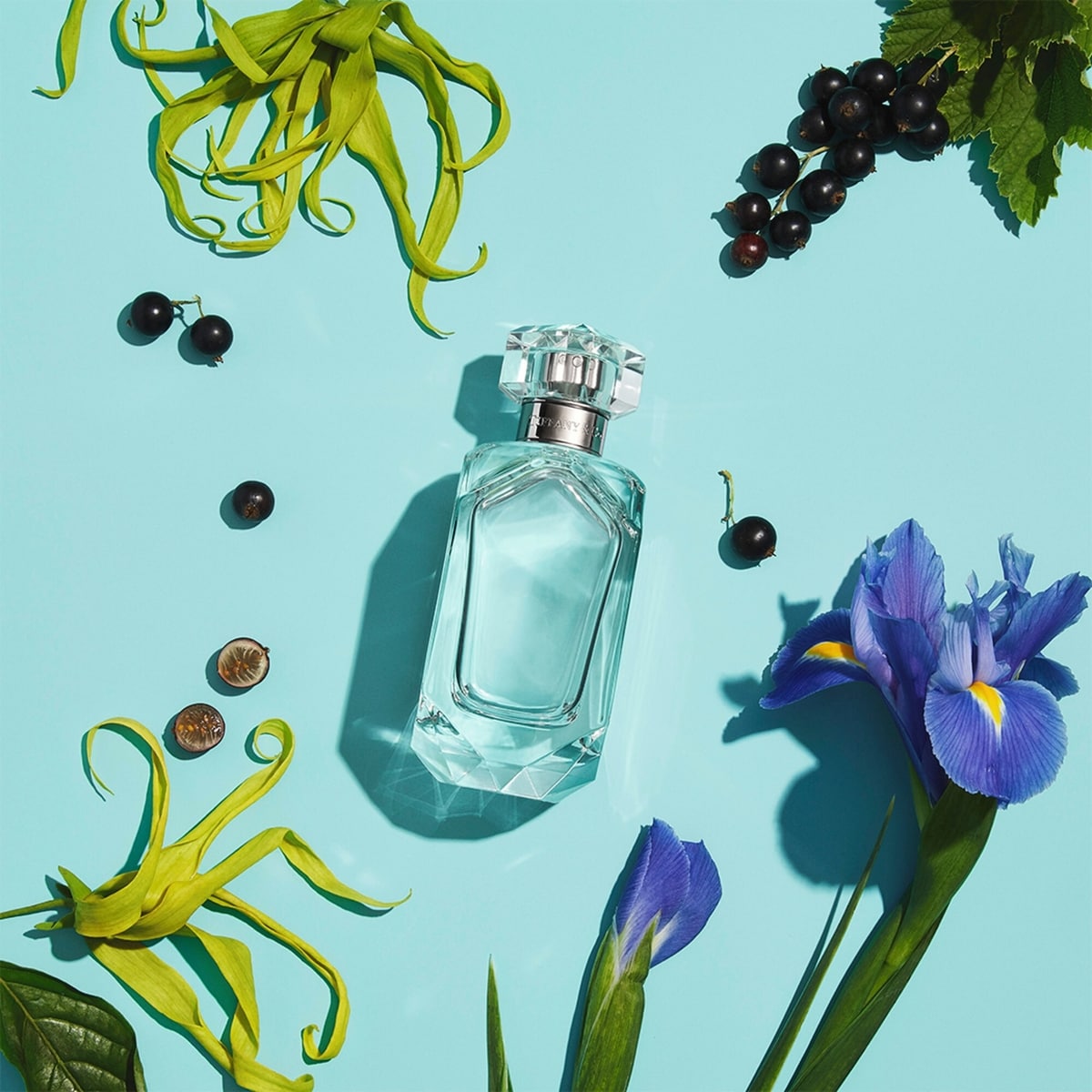 Tiffany & Co. Sheer Eau de Toilette for Her | Shoppers Drug Mart