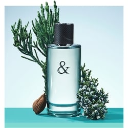 香水(男性用) Tiffany & Co. love Eau de Toilette 90ml Tiffany & Co. Tiffany & Love Eau de Toilette for Him | Shoppers