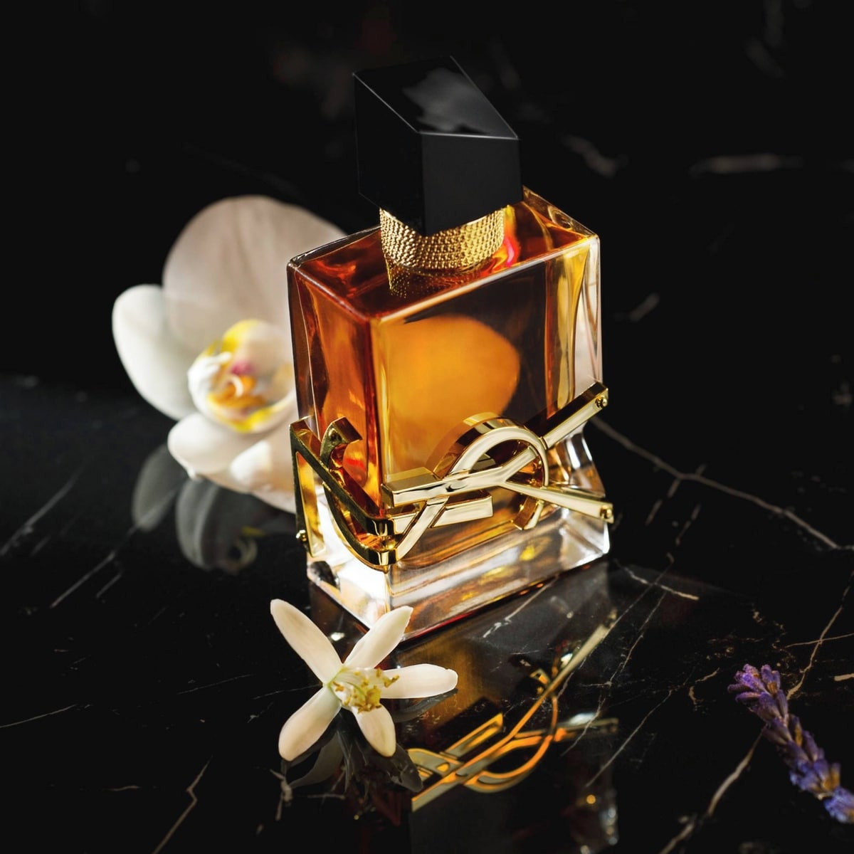 Libre Eau De Parfum Intense Lancement