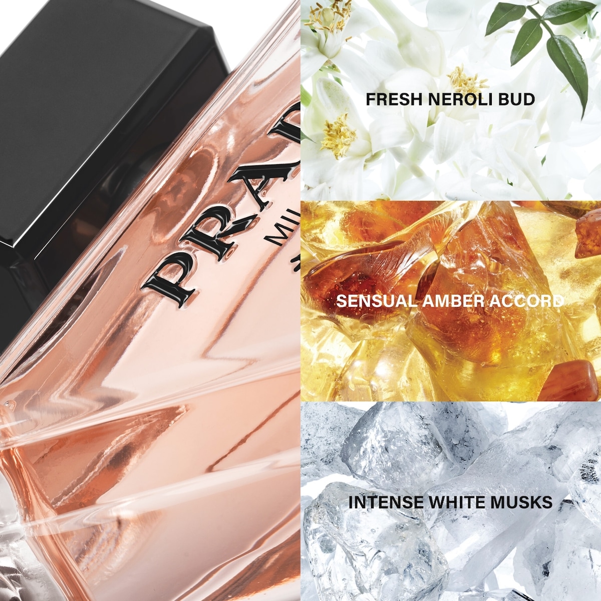 Refill for Paradoxe Eau de Parfum