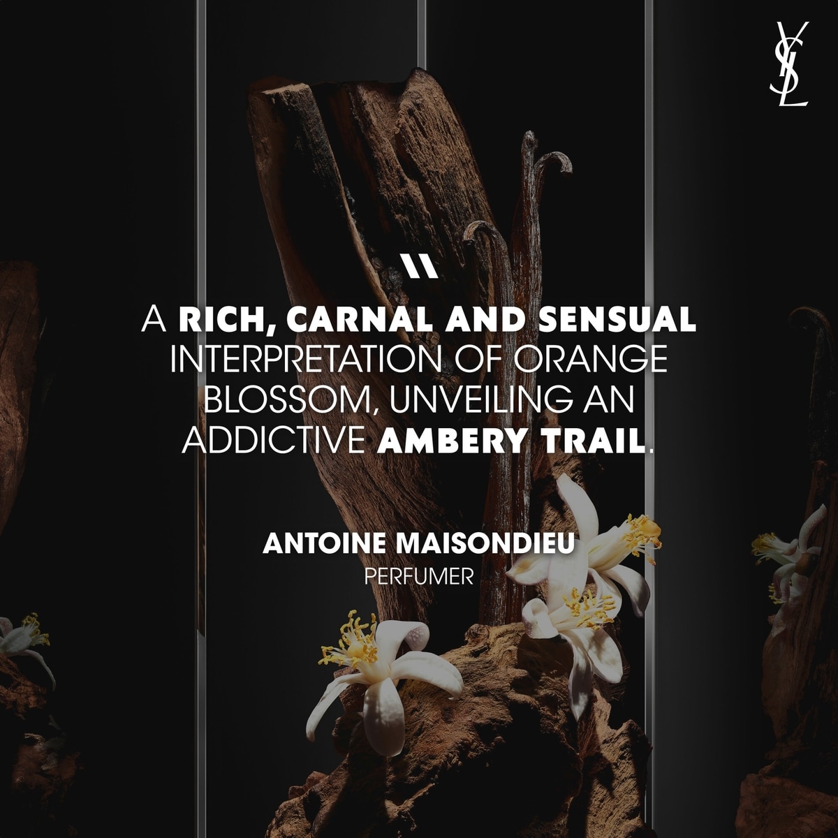 MYSLF Le Parfum - New Intense Woody Floral Fragrance For Men