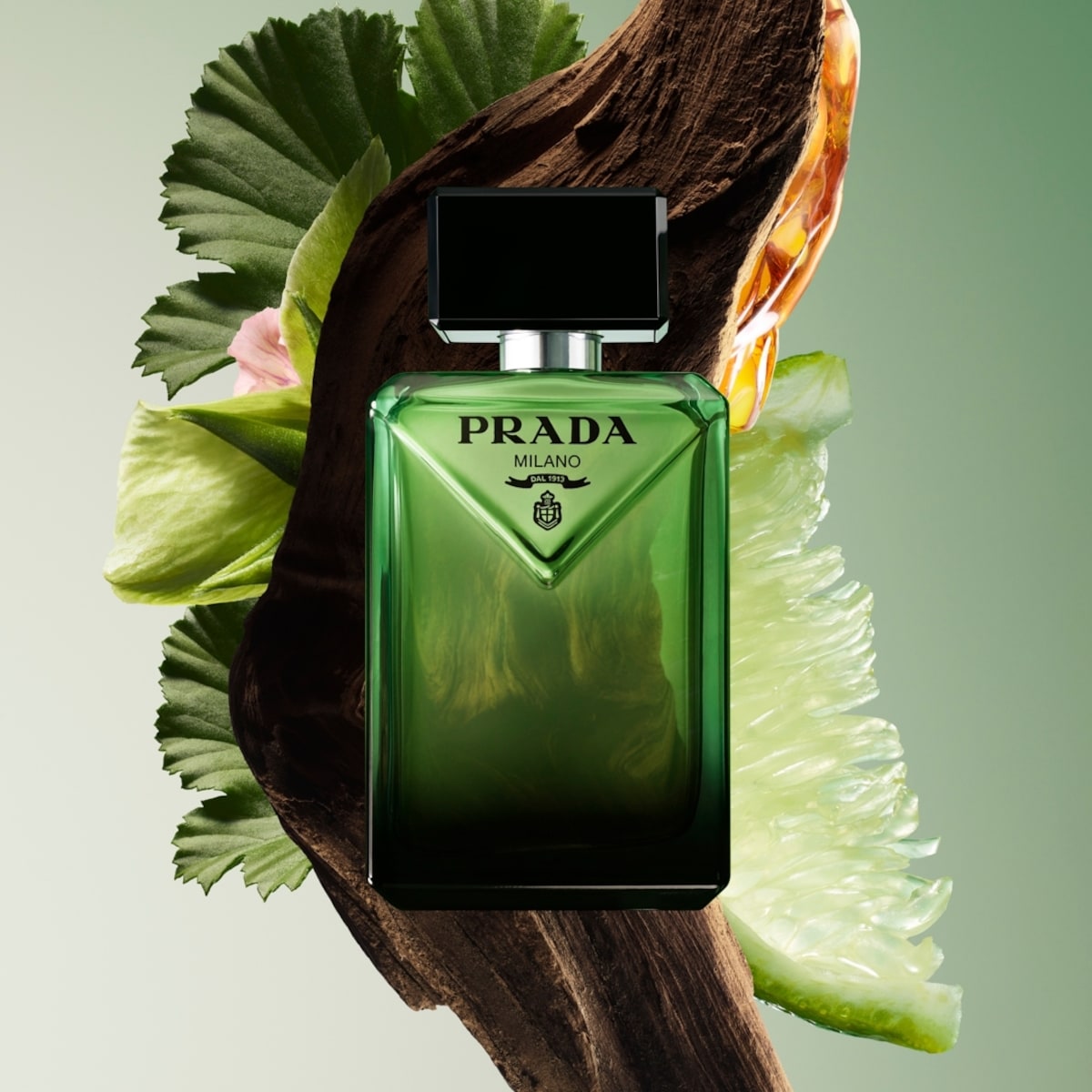 Paradigme Eau de Parfum