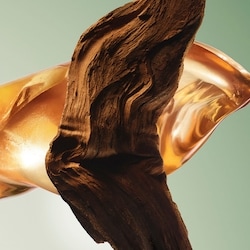 Paradigme Eau de Parfum - Recharge 4