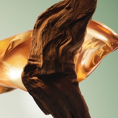Paradigme Eau de Parfum - Recharge 4