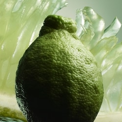 Paradigme Eau de Parfum - Recharge 5