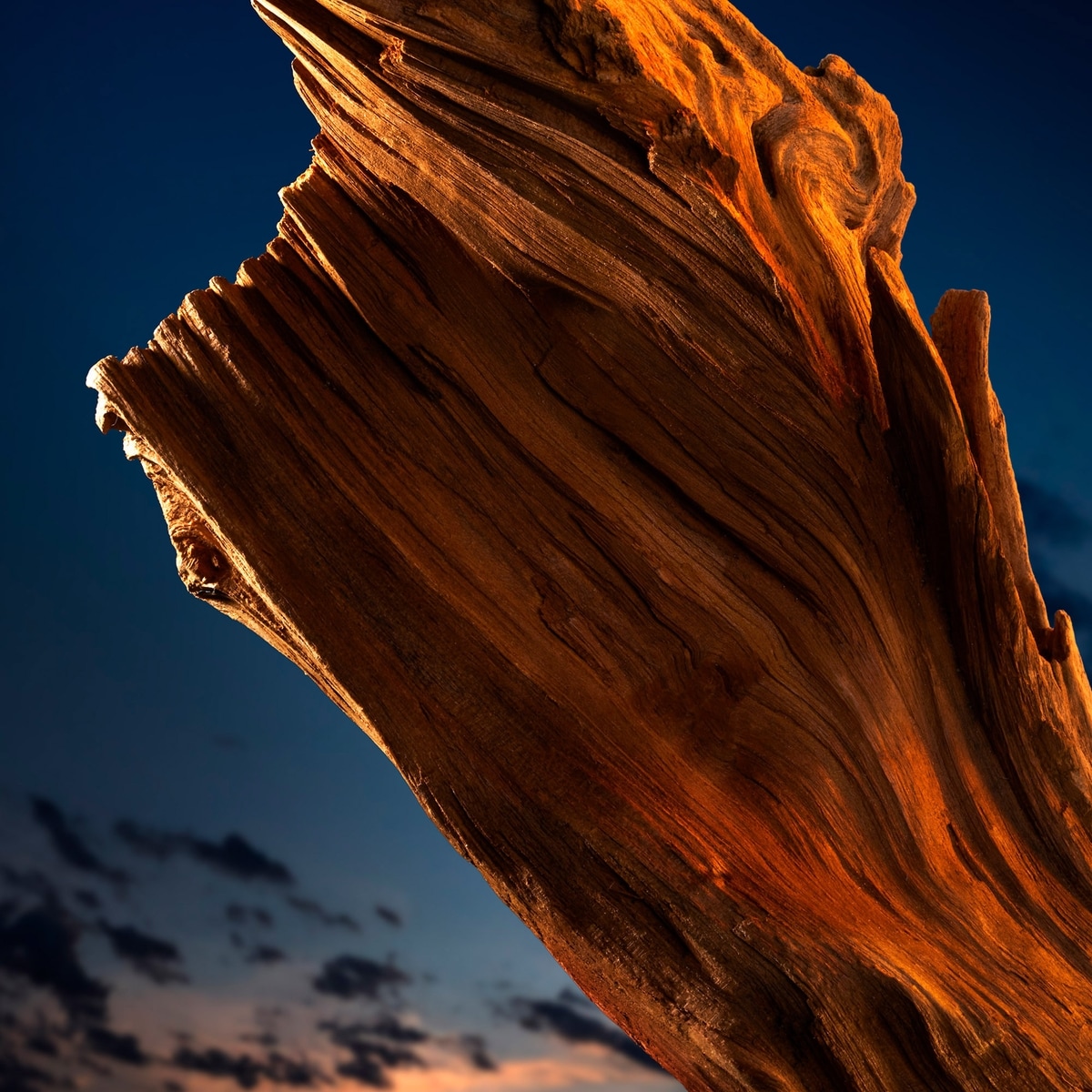 The Most Wanted Eau de Parfum Intense Deodorant Stick