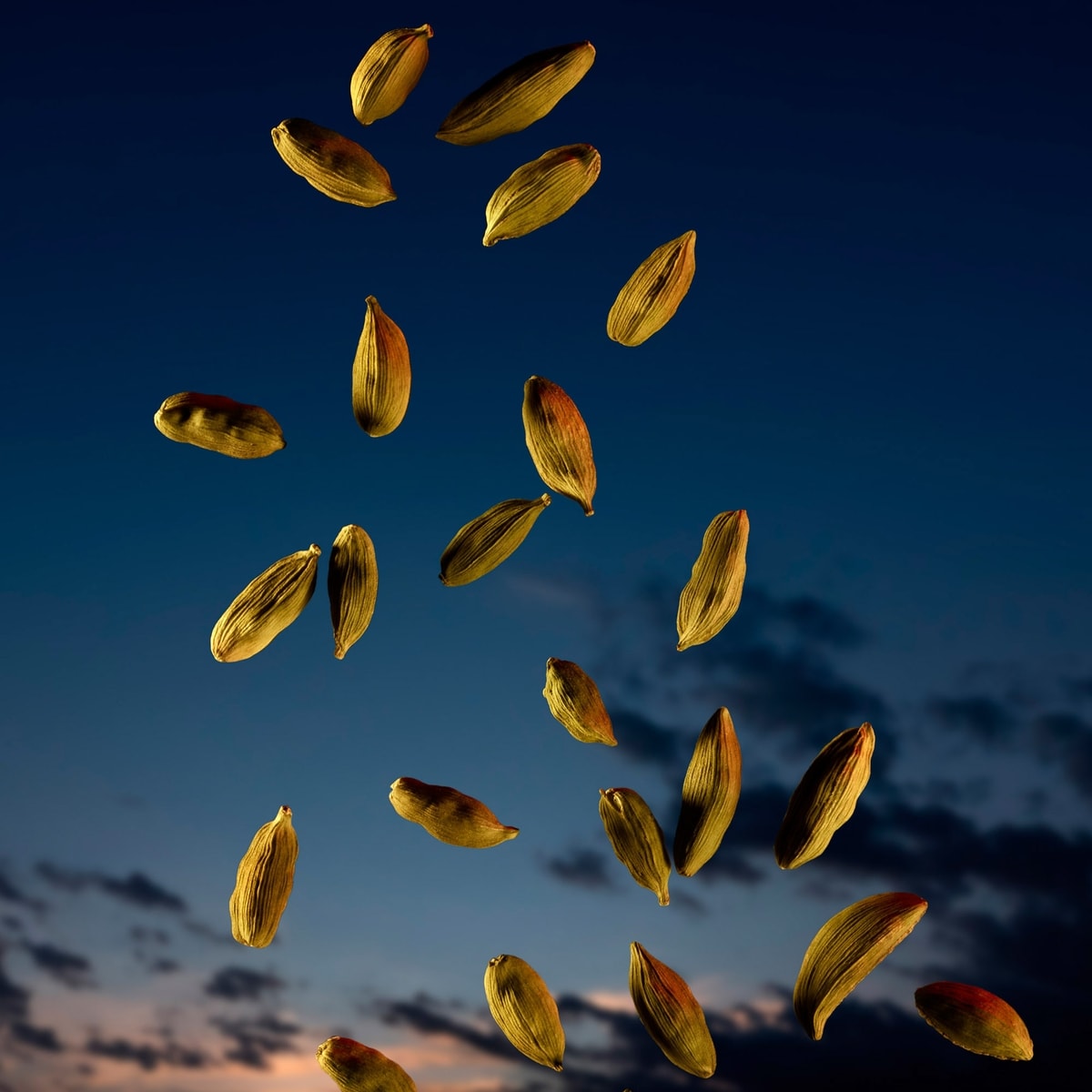 The Most Wanted Eau de Parfum Intense Deodorant Stick