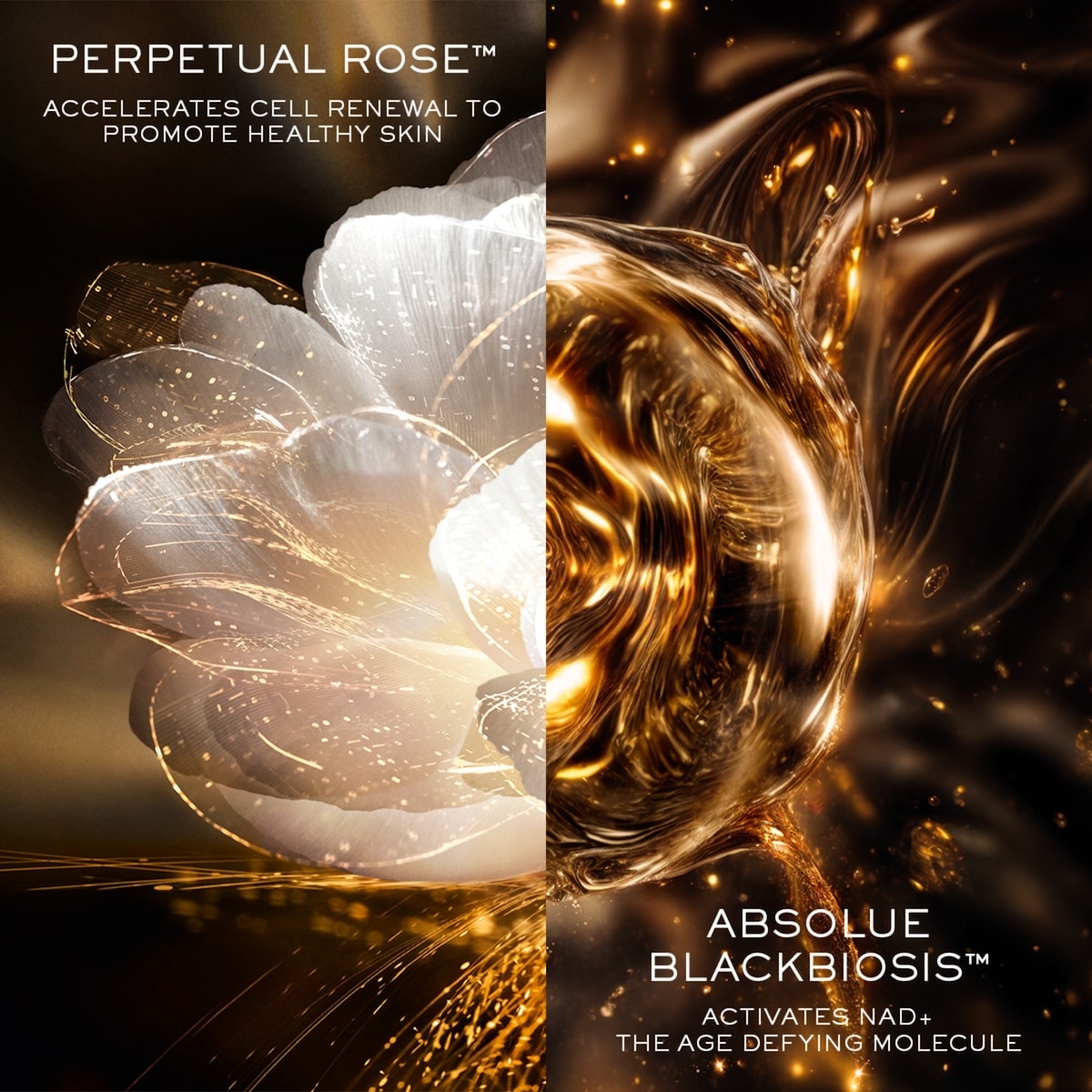 Recharge pour Absolue L’Extrait Élixir Sérum Anti-Âge