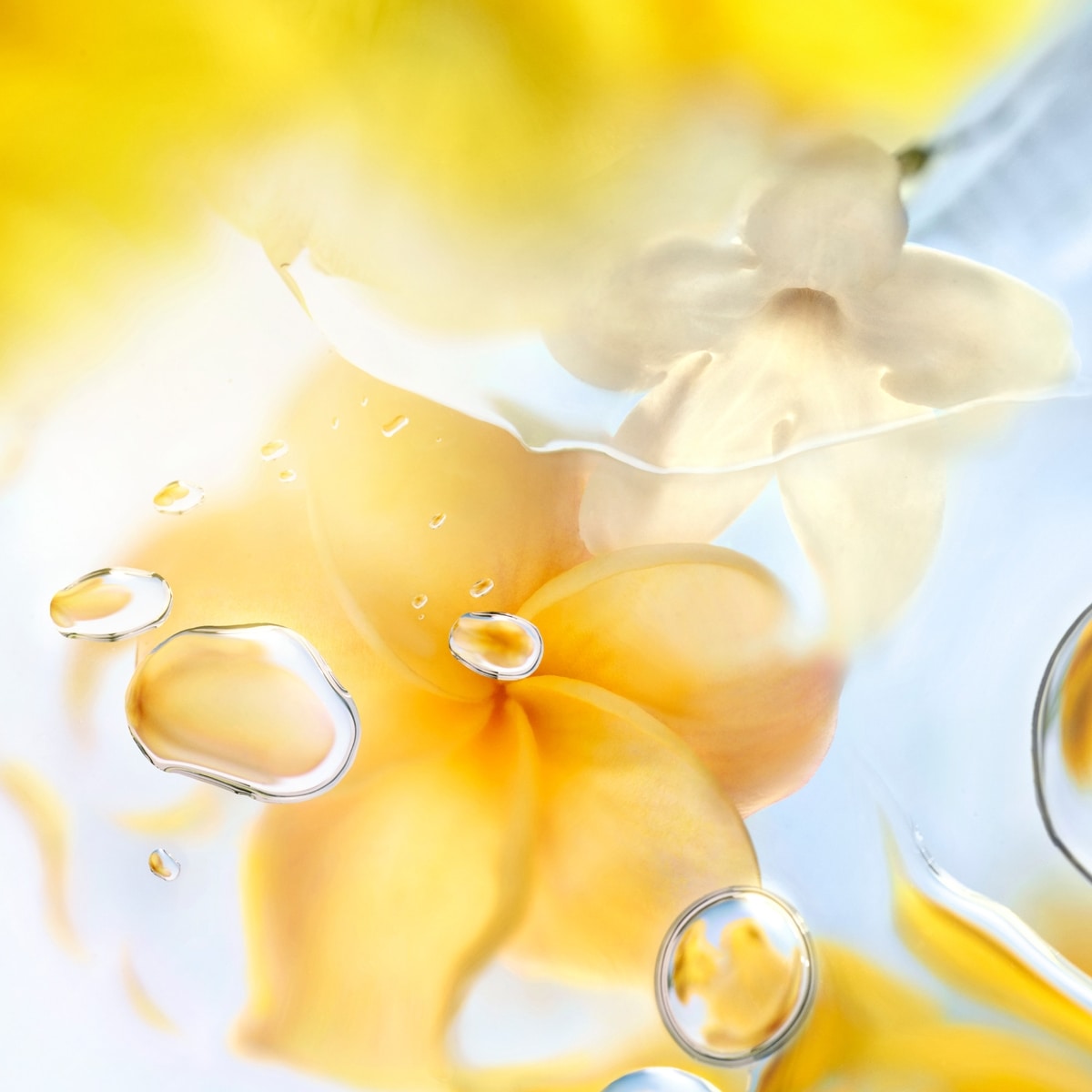 Ô Zenith Eau De Toilette