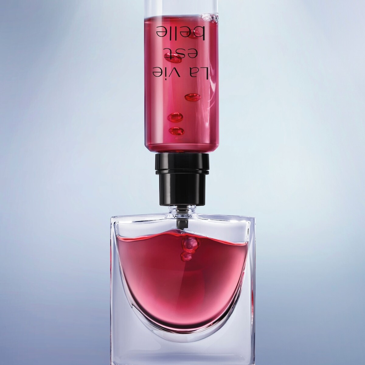 Coffret cadeau La vie est belle L'Elixir