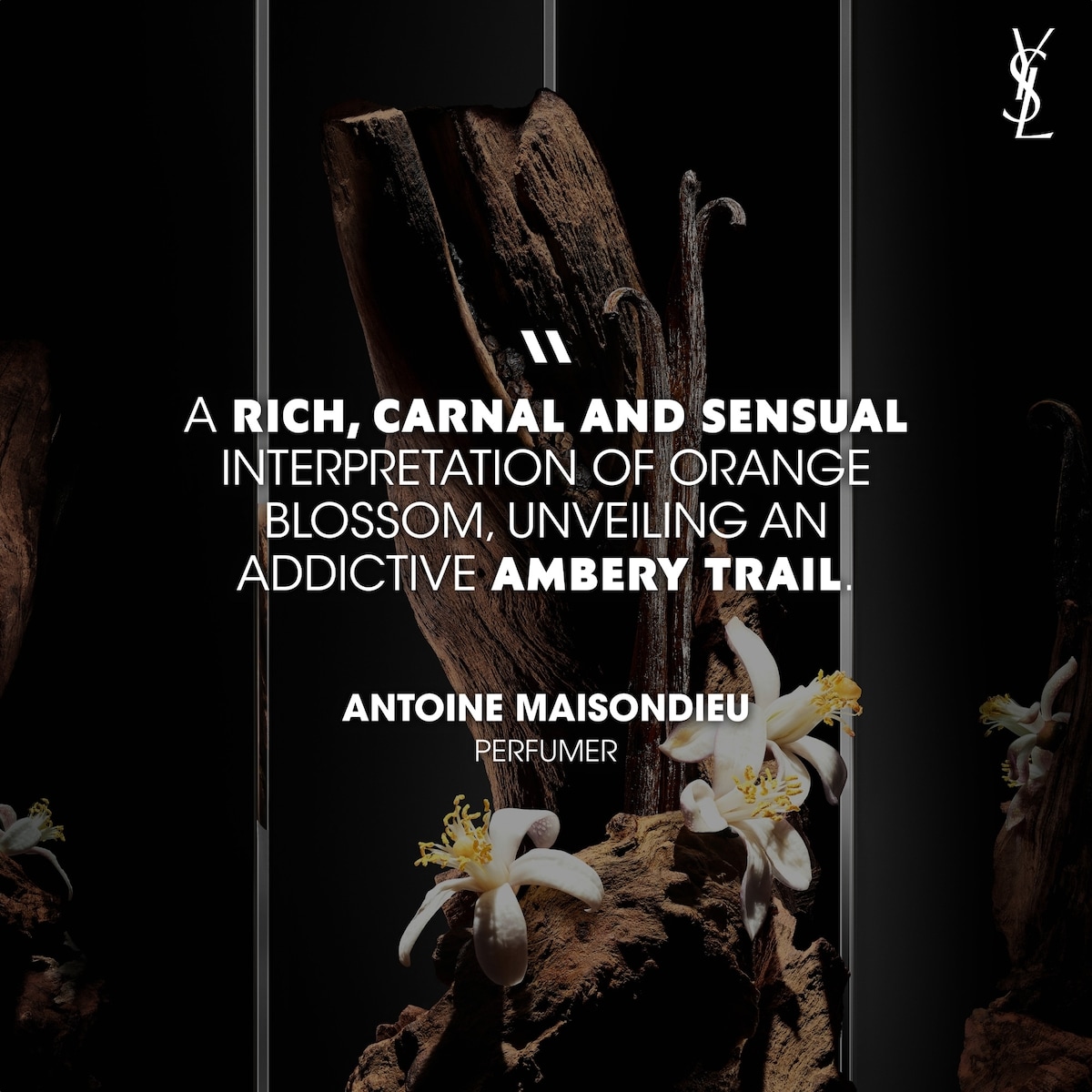 MYSLF Le Parfum - New Intense Woody Floral Fragrance For Men