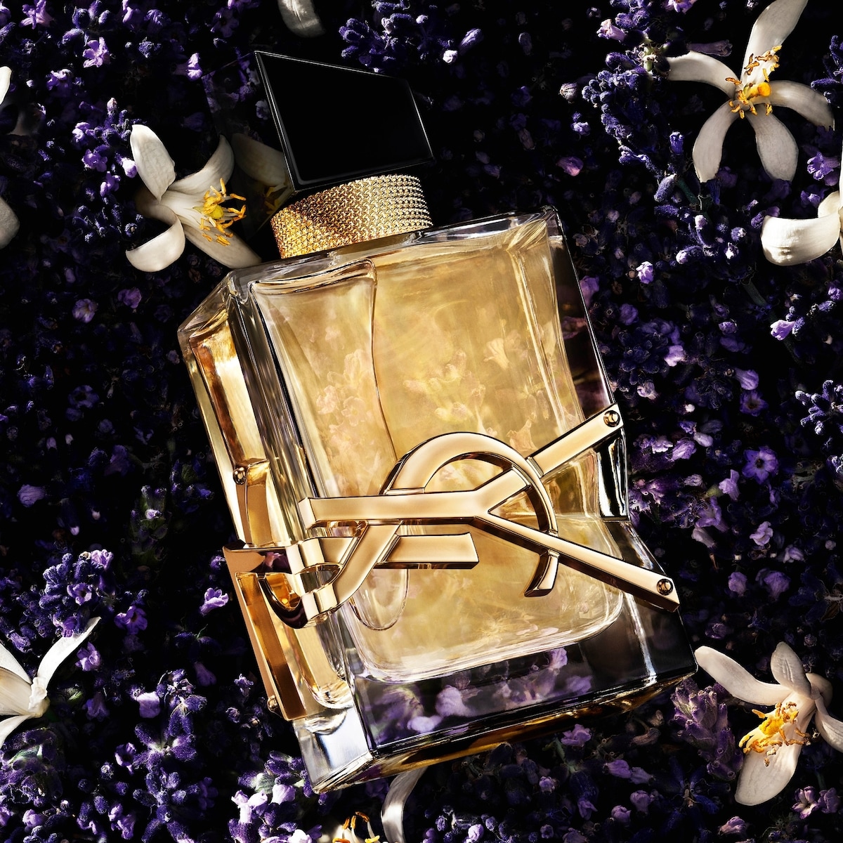 Libre Eau de Parfum Duo Gift Set