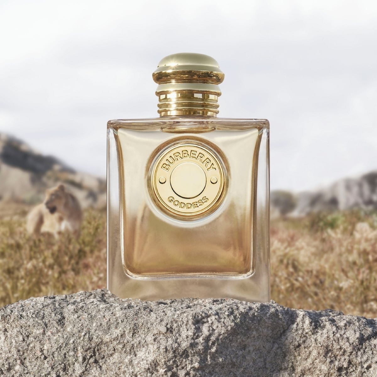 Goddess Eau de Parfum pour Femme 50 ml