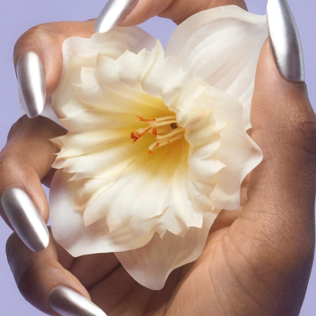 Perfect Eau de Toilette pour femme