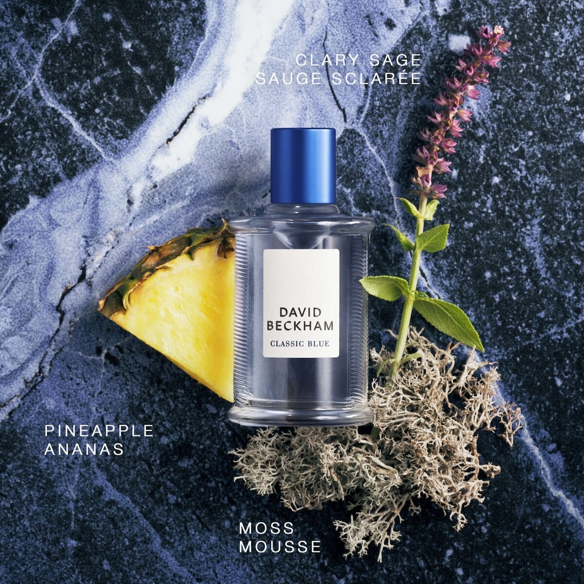 Classic Blue Eau de Toilette Pour Homme - Parfum pour homme, Parfum David Beckham, senteur boisée aux agrumes
